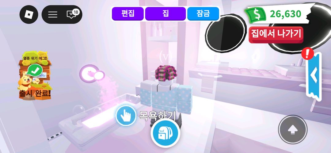 입양하세요 키티집 이미지