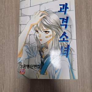 소장본) 동경바라기/강은영/오경아 만화 비밀정원/과격소녀/아이의별/축제를위하여/여름의문 이미지