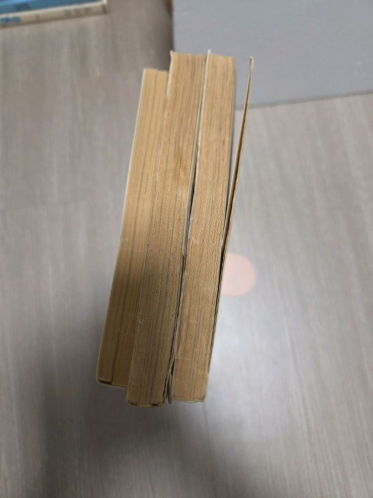 소장본) 동경바라기/강은영/오경아 만화 비밀정원/과격소녀/아이의별/축제를위하여/여름의문 이미지