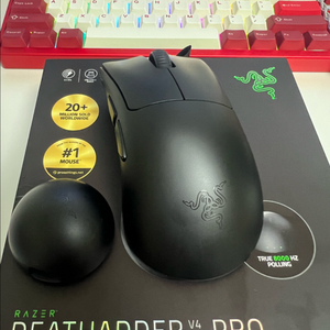 레이저 데스에더 V4 PRO + 패드 서비스