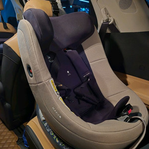 스완두 마리5 아기 유아 신생아 카시트