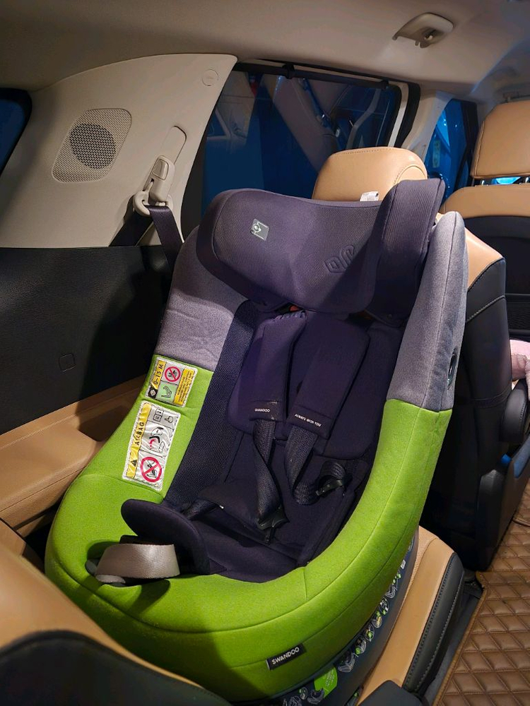 스완두 마리5 아기 유아 신생아 카시트 이미지