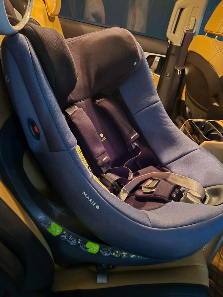 스완두 마리5 아기 유아 신생아 카시트 이미지