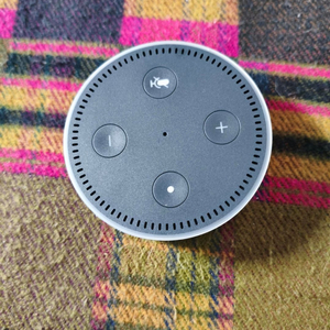 [ai 스피커] 아마존 에코닷, 알렉사 지원