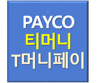 티머니페이머니 페이코포인트 정직하게 삽니다. 1분 입금--0