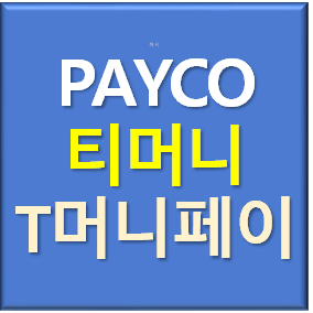 티머니페이머니 페이코포인트 정직하게 삽니다. 1분 입금