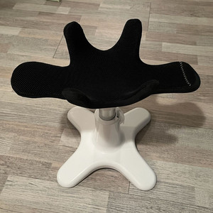 강아지 샘슨살롱 미용의자 (쿠션포함) 이미지