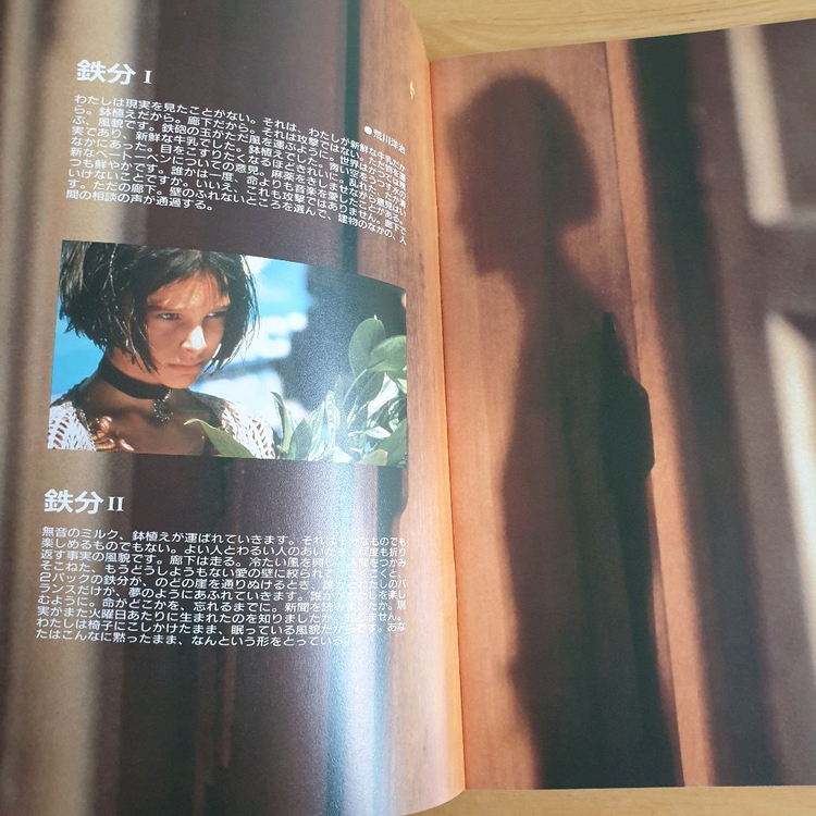 영화 레옹 LEON 장르노 나탈리포트만 일본영화팜플렛 게리올드만 고전영화--4