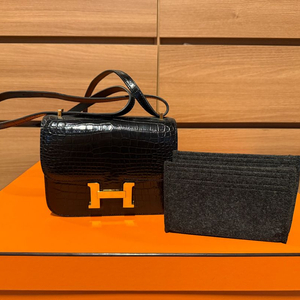 콘스탄스18 올수공 엘리게이터