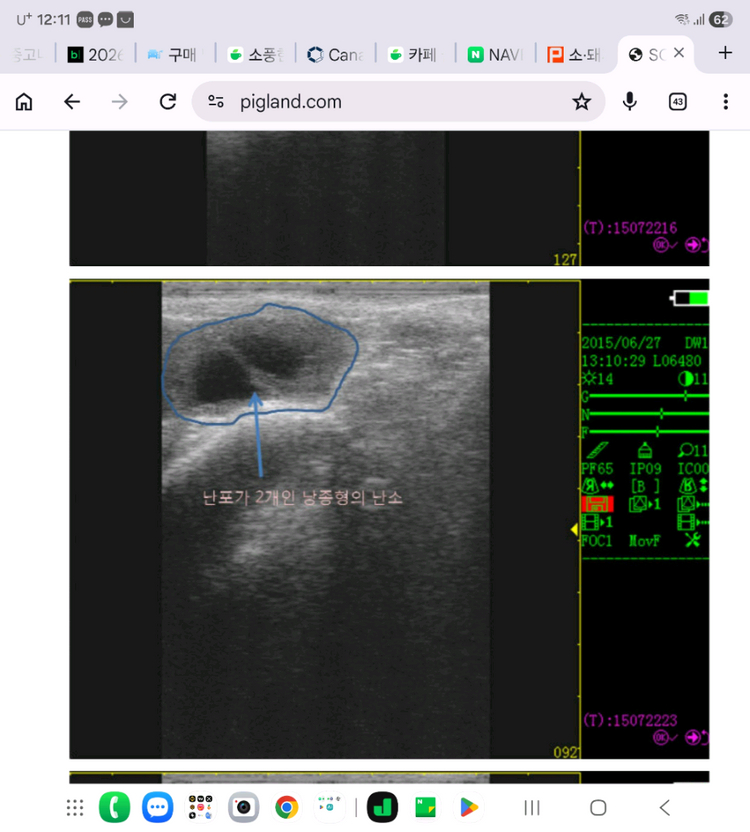 송강 대가축용(한우 젖소)초음파 임신진단기 이미지