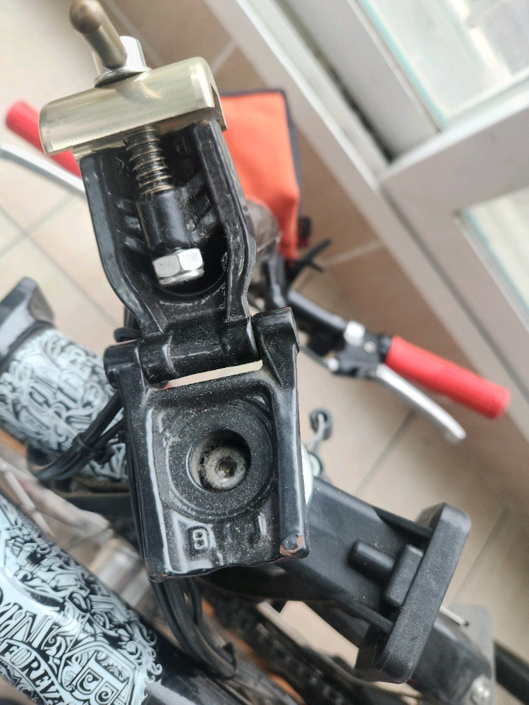 브롬톤 리미티드에디션.빅리--1