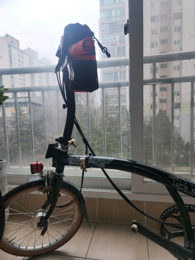 브롬톤 리미티드에디션.빅리--3