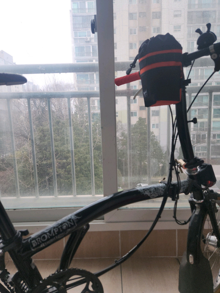 브롬톤 리미티드에디션.빅리--6