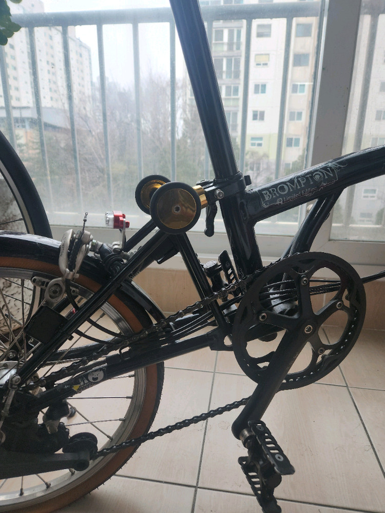 브롬톤 리미티드에디션.빅리--7