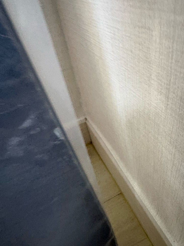 스프레드 25/26 zero 150--3