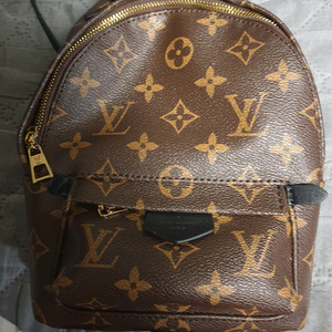 루이s비통 팜 스프링스 모노그램 미니 백팩