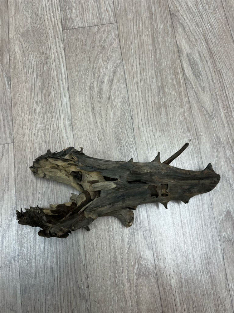 어항 비바리움 파충류 도마뱀 유목--1