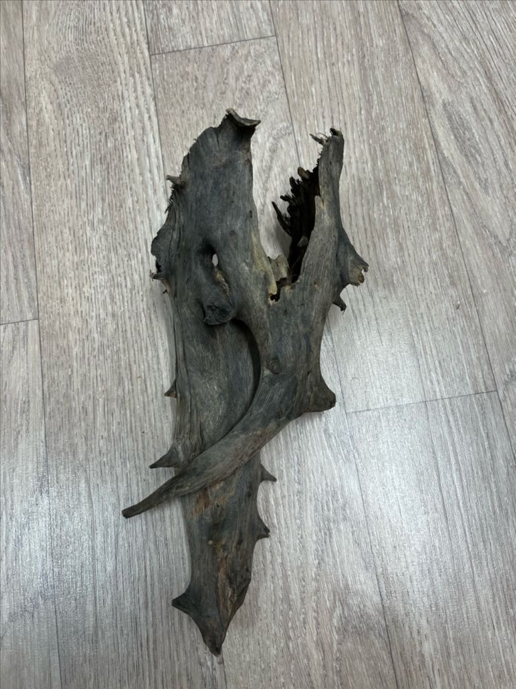 어항 비바리움 파충류 도마뱀 유목--2