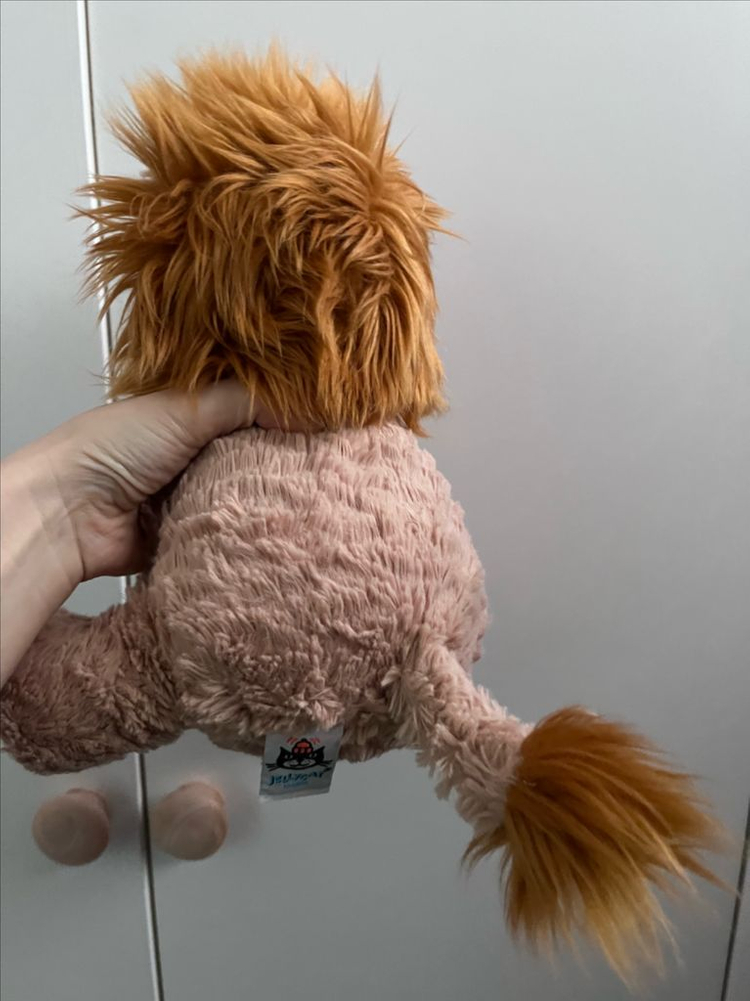 젤리캣 라이언--1