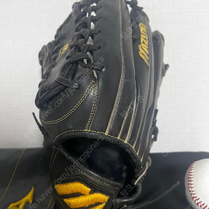 추신수 실사용 글러브 / 시애틀메리너스 시절 / 미즈노 프로 앰막 좌투 글러브 / 소장용글러브
