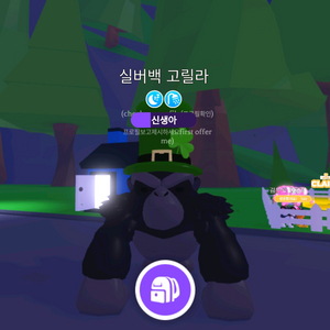 타는실버백 고릴라 급처(입양하세요펫) 이미지