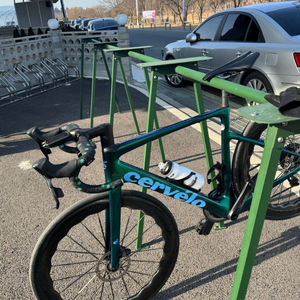 써벨로 칼레도니아 5 이미지