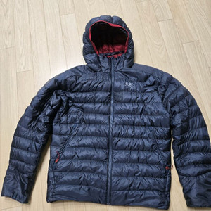 아크테릭스 세륨 LT L 판매