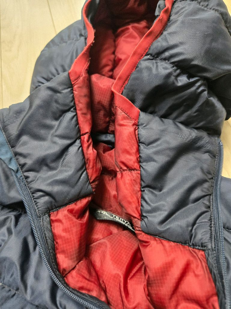 아크테릭스 세륨 LT L 판매--6