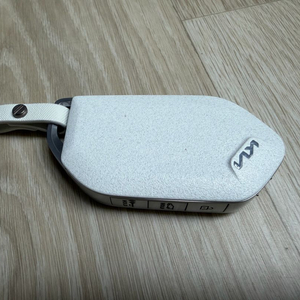 ev9 순정 스마트키