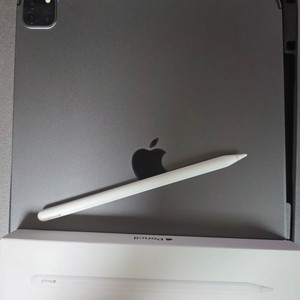 아이패드프로 5세대 M1 12.9 512gb 셀룰러+애플펜슬 2세대 팝니다. 이미지