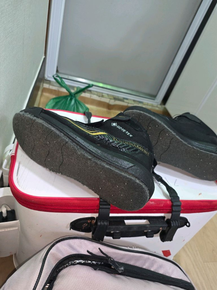 다이와고어텍스 신발 이미지