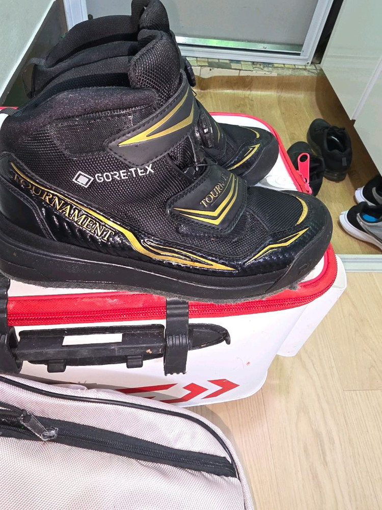 다이와고어텍스 신발 이미지