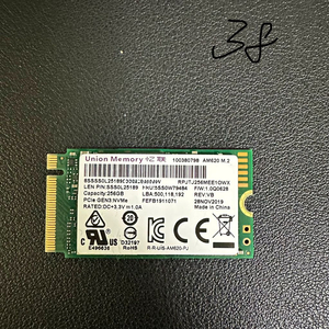 M.2 2242 NVMe 256G SSD
