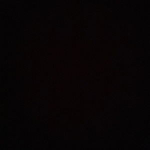 아티스트 LP 레코드