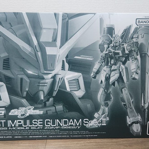 RG 포스임펄스, 소드임펄스 스펙2, 블래스트 임펄스 스펙 2 일괄 [습식, 택배비 포함]