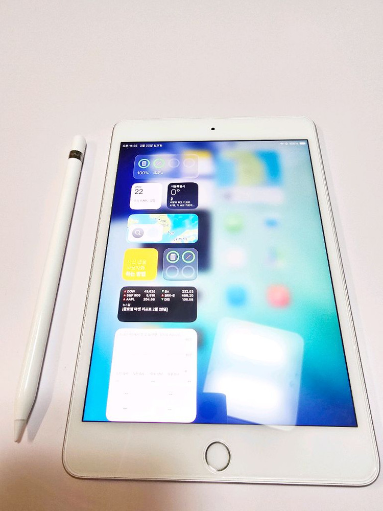 [개인] 아이패드미니 5세대 64GB 와이파이+ 애플펜슬 1세대--7