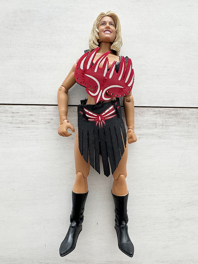 WWE 피규어 정리 1--5