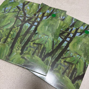 (미개봉) 잔나비 소곡집2 초록을 거머쥔 우리는 lp 그린 컬러