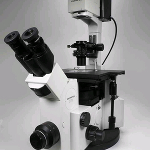 올림푸스 도립현미경 IX70 이미지