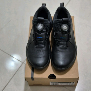 에코 바이옴 H4 보아 남성 골프화 사이즈40(255~260)