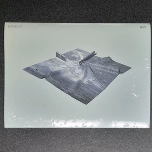 (미개봉) 버즈 민경훈 앨범 : 버즈 미니 3집