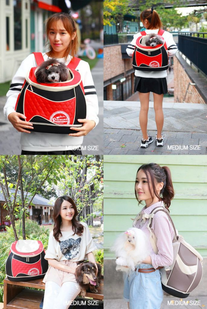 다이스키 이동가방 / 강아지 고양이 백팩 기내용 카시트 하우스 여행용 이미지