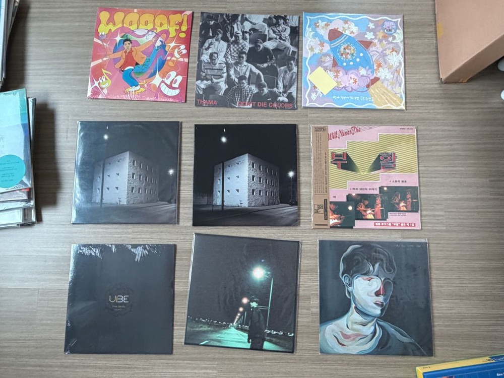 한정판 lp 정리해요(어반자카파, 크러쉬, 선우정아, 스텔라장, 카더가든, 윤종신, 엠씨더맥스, 뱃사공 등)--2