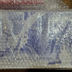 rg 데스티니 티타늄피니쉬