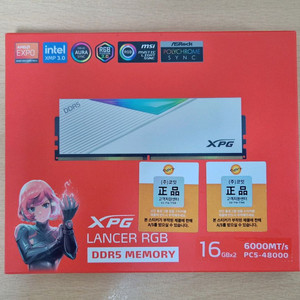 ADATA DDR5 32GB 6000MHz CL30 화이트 RGB 램 국내 정품