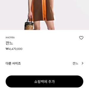 루이비통 깐느백