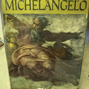 미켈란젤로 전집 하드커버