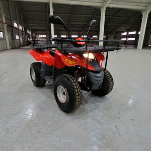 대림올코트efi100f 사발이 ATV