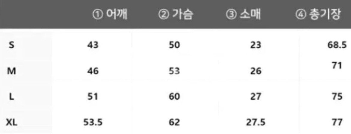 파타고니아 p-6 반팔티셔츠 남녀공용 택배비포함--3