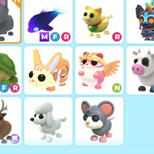 입양하세요 펫 판매 이미지